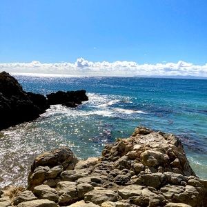 Meet your Posher, Josie